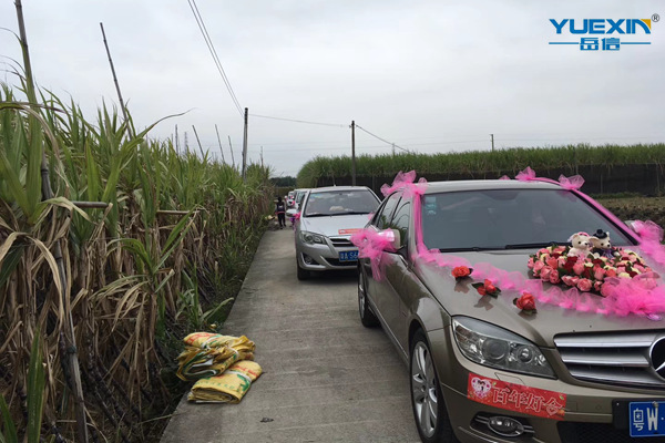 岳信土豪結(jié)婚-婚車(chē)